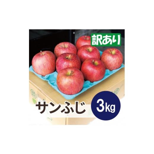 ふるさと納税 りんご 青森県 大鰐町 2025年12月発送予定 糖度13度以上保証 サンふじ約3kg(6〜18玉) 訳あり 1682996