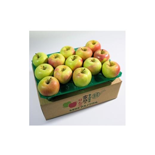 ふるさと納税 りんご 青森県 大鰐町 2025年12月発送予定 糖度13度以上保証 ぐんま名月おもてなし用約3kg(6〜18玉) 1683023