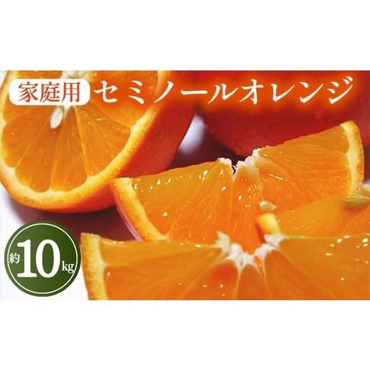 ふるさと納税 みかん・柑橘類 オレンジ 和歌山県 美浜町 先行予約 春の美味 農家直送 爽快カンキツ セミノールオレンジ(ご家庭用)約10kg | 柑橘 フルーツ…
