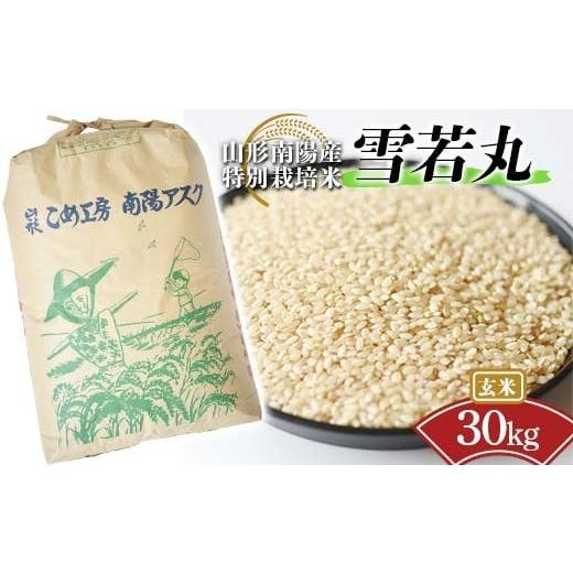 ふるさと納税 玄米 山形県 南陽市 金賞受賞農家 令和7年産 特別栽培米 雪若丸 (玄米) 30kg 『あおきライスファーム』 山形南陽産 米 ご飯 農家直送 山形県 南…