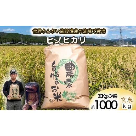 ふるさと納税 玄米 兵庫県 福崎町 玄米 数量限定 河童のガジロウがお届け 令和7年度産 ヒノヒカリ 八千種米 お米 1000kg ごはん 兵庫県産 世界かんがい…