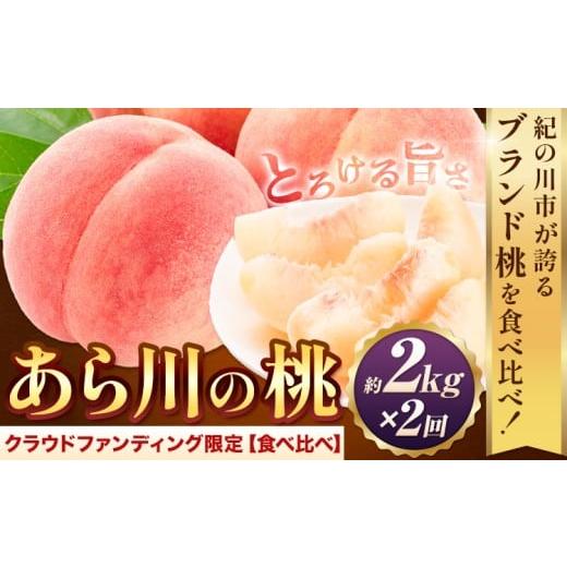 ふるさと納税 もも 和歌山県 紀の川市 桃 アフター保証付 トロっと とろける旨さ ブランド桃 あら川の桃 約2kg ×2回 お届け[2026年6月中旬-8月中旬頃出荷]…