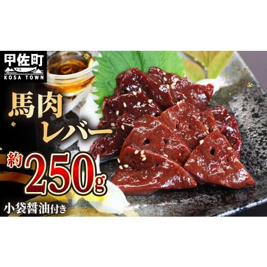 ふるさと納税 馬肉 熊本県 甲佐町 令和8年6月配送 配送月指定可能 馬肉 250g レバー 令和8年6月配送