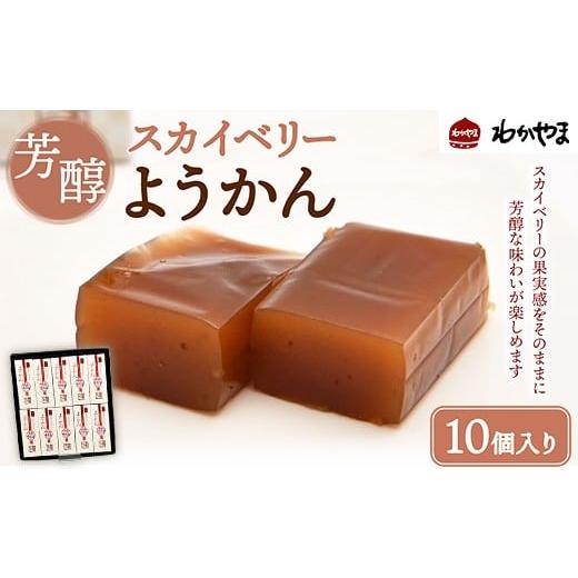 ふるさと納税 菓子 羊羹 栃木県 宇都宮市 芳醇スカイベリーようかん ギフト 10個入り 離島への配送不可