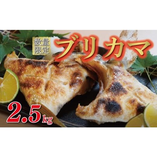 ふるさと納税 旬の鮮魚等 愛媛県 愛南町 数量限定 ブリカマ 2.5kg 10000円 冷凍 サイズ 不揃い ぶりかま ぶりカマ 鰤かま 食べ物 旬 お手軽 魚海鮮 魚介 父の…