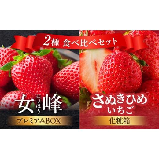 ふるさと納税 いちご 香川県 三木町 数量限定 厳選いちご2種 食べ比べセット |スイーツ いちご ストロベリー さぬき姫 さぬきひめ 女峰 食べ比べ 苺 セット …
