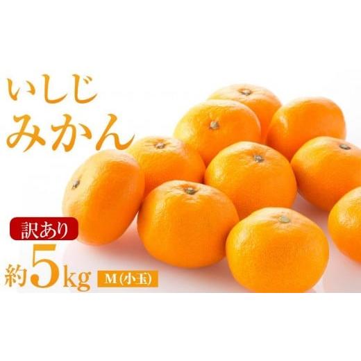 ふるさと納税 果物類 みかん 広島県 尾道市 訳あり いしじみかん 小玉 5kg