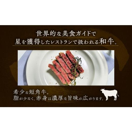 ふるさと納税 牛肉 ハンバーグ 北海道 足寄町 北海道 北十勝 短角牛 ハンバーグ 160g×5《足寄町》 北十勝ファーム有限会社 北海道 牛肉 牛 肉 にく お肉 はん…_2