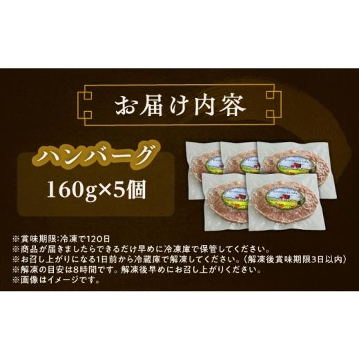 ふるさと納税 牛肉 ハンバーグ 北海道 足寄町 北海道 北十勝 短角牛 ハンバーグ 160g×5《足寄町》 北十勝ファーム有限会社 北海道 牛肉 牛 肉 にく お肉 はん…_5