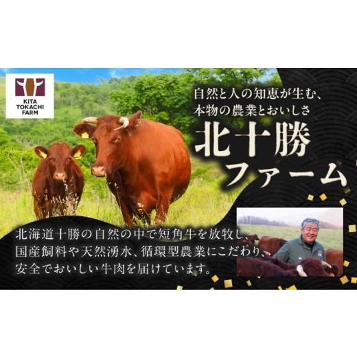 ふるさと納税 牛肉 ハンバーグ 北海道 足寄町 北海道 北十勝 短角牛 ハンバーグ 160g×5《足寄町》 北十勝ファーム有限会社 北海道 牛肉 牛 肉 にく お肉 はん…_6