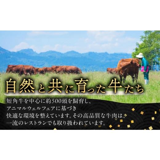 ふるさと納税 牛肉 ハンバーグ 北海道 足寄町 北海道 北十勝 短角牛 ハンバーグ 160g×5《足寄町》 北十勝ファーム有限会社 北海道 牛肉 牛 肉 にく お肉 はん…_7