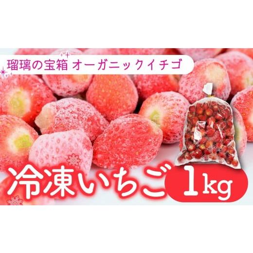 ふるさと納税 いちご 京都府 八幡市 植物系有機肥料の冷凍いちご 瑠璃の宝箱 冷凍いちご 計 1kg 有機 有機JAS 植物系有機肥料 イチゴ 苺 オーガニックイチゴ …