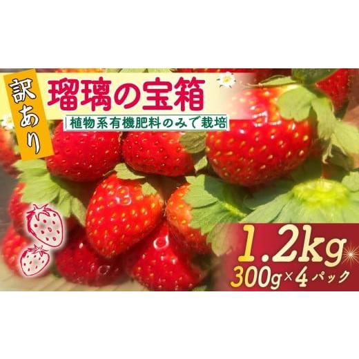 ふるさと納税 いちご 京都府 八幡市 先行予約 植物系有機肥料のいちご 訳あり いちご 計 1.2kg 300g×4パック 瑠璃の宝箱 オーガニックイチゴ 有機 有機JAS …