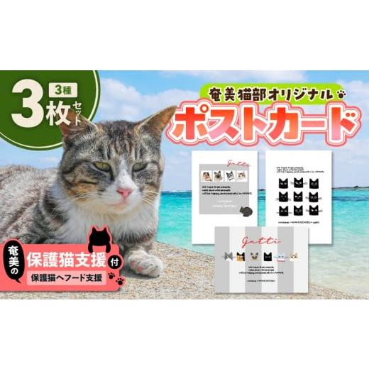 ふるさと納税 雑貨・日用品 はがき 鹿児島県 奄美市 奄美の保護猫支援(保護猫フード10日分) +ポストカード3枚セット