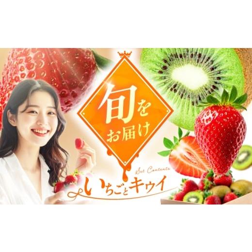 ふるさと納税 いちご 福岡県 広川町 12月下旬発送 フルーツ詰合せ(あまおうDX 2パック&amp;キウイ12個) 広川町 / JAふくおか八女農産物直売所どろや AFAB…