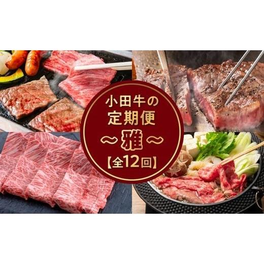ふるさと納税 牛肉 サーロイン 鹿児島県 南九州市 全12回 「小田牛」定期便〜雅〜 060-47