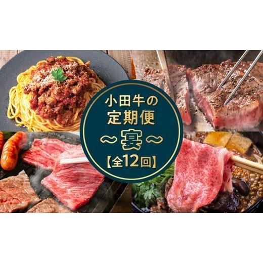 ふるさと納税 牛肉 ステーキ 鹿児島県 南九州市 全12回 「小田牛」定期便〜宴〜 060-46