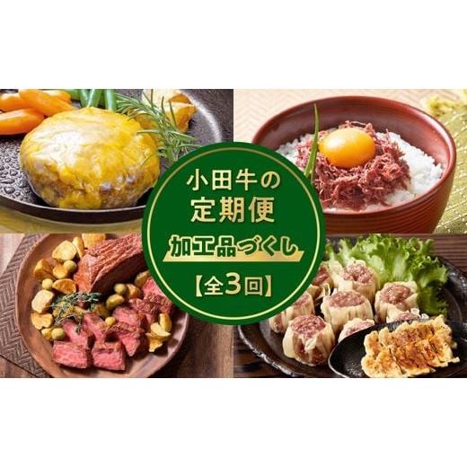 ふるさと納税 肉 ハンバーグ 鹿児島県 南九州市 全3回 「小田牛」定期便〜加工品づくし〜 060-43