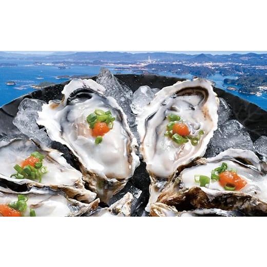 ふるさと納税 牡蠣 長崎県 佐世保市 A492 九十九島産ハーフシェル「真がき」(20個入)