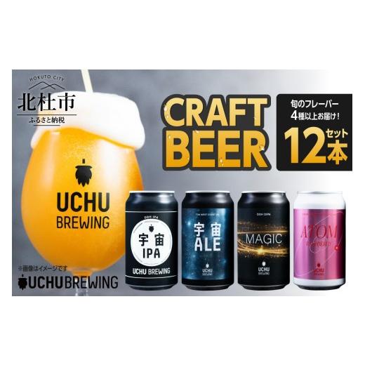 ふるさと納税 ビール 地ビール 山梨県 北杜市 うちゅうブルーイング クラフトビール 12本セット 350ml 宇宙ビール うちゅうビール 飲み比べ 八ヶ岳 せんのや