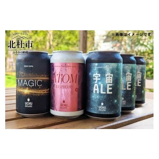ふるさと納税 ビール 地ビール 山梨県 北杜市 うちゅうブルーイング クラフトビール 9本セット 350ml 宇宙ビール うちゅうビール 飲み比べ 八ヶ岳 せんのや