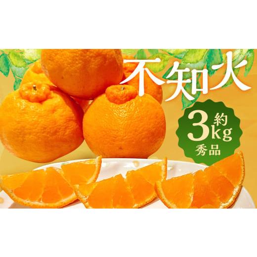 ふるさと納税 みかん・柑橘類 長崎県 時津町 春の柑橘 不知火 約3kg 秀品 柑橘 フルーツ長崎県 時津町産 2026年2月下旬〜3月下旬迄発送予定