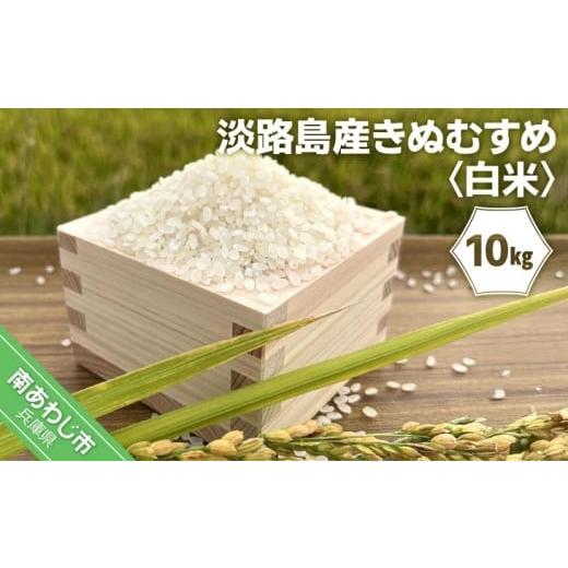 ふるさと納税 米 兵庫県 南あわじ市 令和7年産 淡路島産きぬむすめ 白米10kg