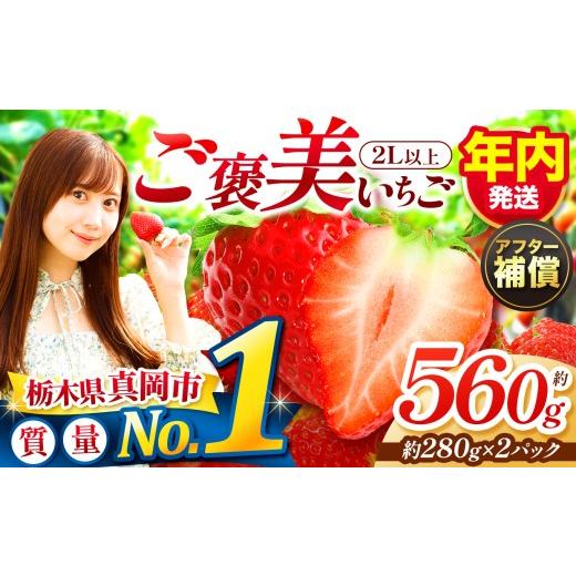 ふるさと納税 いちご 栃木県 真岡市 11〜12月発送 一粒の贅沢 ご褒美とちあいか 2L以上 約560g 280g×2パック いちご | 年内発送 おいしい 取り寄せ プレゼン…