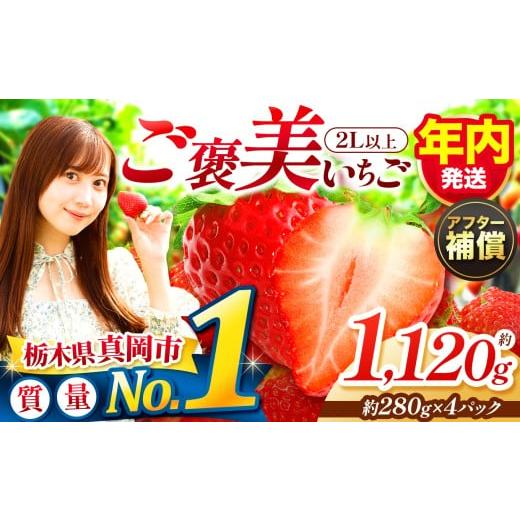 ふるさと納税 いちご 栃木県 真岡市 11月〜12月発送 一粒の贅沢 ご褒美とちあいか 2L以上 約1120g 280g×4パック いちご | 年内発送 おいしい 取り寄せ プレ…