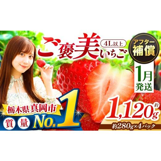 ふるさと納税 いちご 栃木県 真岡市 いちご 先行予約 2027年1月以降発送 とちあいか 4Lサイズ以上 一粒の贅沢 取り寄せ ご褒美いちご 約280g×4パック合計約11…
