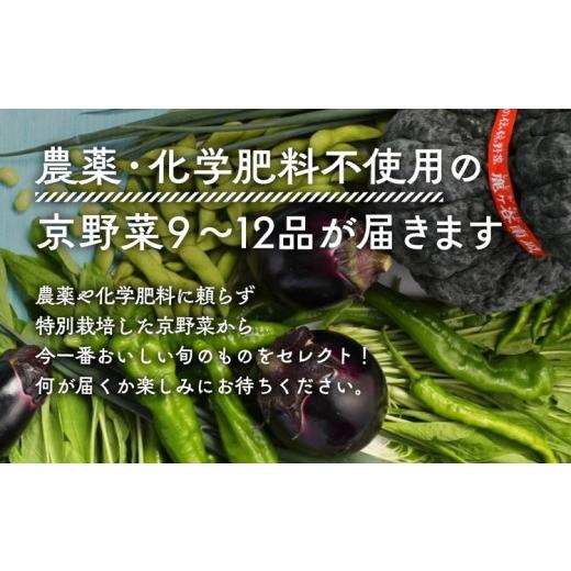 ふるさと納税 セット・詰合せ 京都府 亀岡市  7月発送 12回定期便 アスカ有機農園 旬の京野菜セットL（平飼い卵付）＊毎月お届け全12回《定期便 野菜 やさい …_2