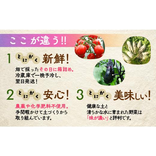 ふるさと納税 セット・詰合せ 京都府 亀岡市  7月発送 12回定期便 アスカ有機農園 旬の京野菜セットL（平飼い卵付）＊毎月お届け全12回《定期便 野菜 やさい …_3