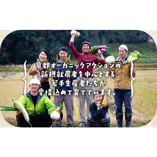 ふるさと納税 セット・詰合せ 京都府 亀岡市  7月発送 12回定期便 アスカ有機農園 旬の京野菜セットL（平飼い卵付）＊毎月お届け全12回《定期便 野菜 やさい …_4