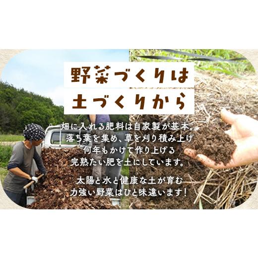 ふるさと納税 セット・詰合せ 京都府 亀岡市  7月発送 12回定期便 アスカ有機農園 旬の京野菜セットL（平飼い卵付）＊毎月お届け全12回《定期便 野菜 やさい …_5