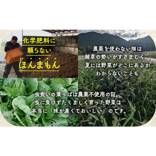 ふるさと納税 セット・詰合せ 京都府 亀岡市  7月発送 12回定期便 アスカ有機農園 旬の京野菜セットL（平飼い卵付）＊毎月お届け全12回《定期便 野菜 やさい …_6