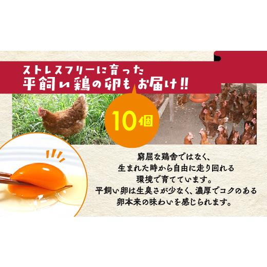 ふるさと納税 セット・詰合せ 京都府 亀岡市  7月発送 12回定期便 アスカ有機農園 旬の京野菜セットL（平飼い卵付）＊毎月お届け全12回《定期便 野菜 やさい …_7