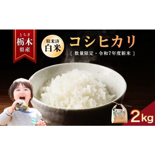 ふるさと納税 米 コシヒカリ 栃木県 矢板市 こしひかり 2kg | お米 米 もち米 ミルキークイーン きぬはなもち とちぎの星 コシヒカリ こしひかり 美味しい お…