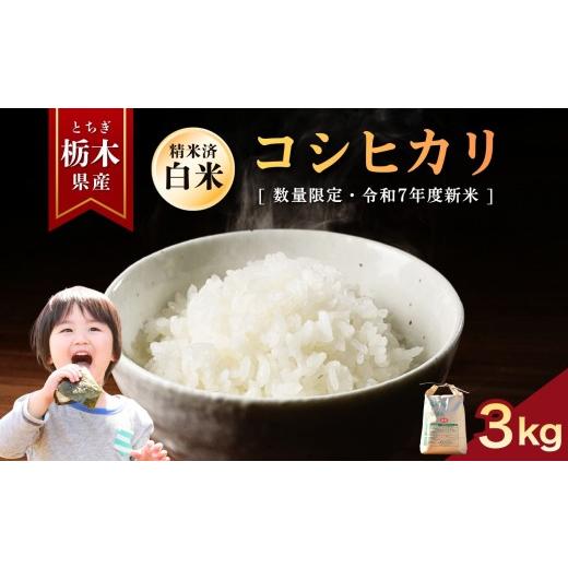 ふるさと納税 米 コシヒカリ 栃木県 矢板市 こしひかり 3kg | お米 米 もち米 ミルキークイーン きぬはなもち とちぎの星 コシヒカリ こしひかり 美味しい お…
