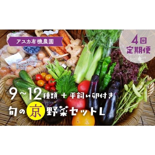 ふるさと納税 セット・詰合せ 京都府 亀岡市 7月発送 4回定期便 アスカ有機農園 旬の京野菜セットL(平飼い卵付)*毎月お届け全4回[定期便 野菜 やさい セ…