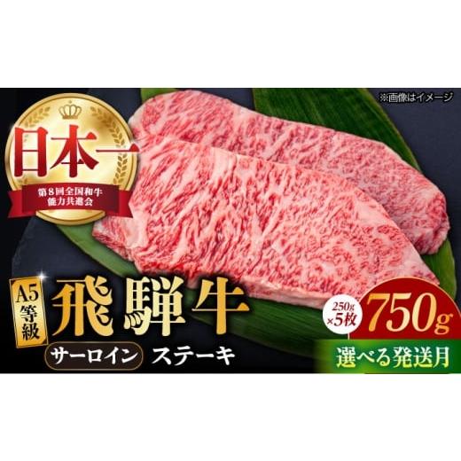 ふるさと納税 牛肉 サーロイン 岐阜県 多治見市 11月発送 飛騨牛 A5等級 サーロイン ステーキ用 3枚 (計750g) 和牛 ブランド牛 国産 牛肉 多治見市 / 渡辺精…