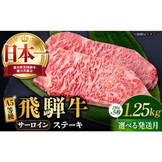 ふるさと納税 牛肉 サーロイン 岐阜県 多治見市 11月発送 飛騨牛 A5等級 サーロイン ステーキ用 5枚 (計1.25kg) 和牛 ブランド牛 国産 牛肉 多治見市 / 渡辺…