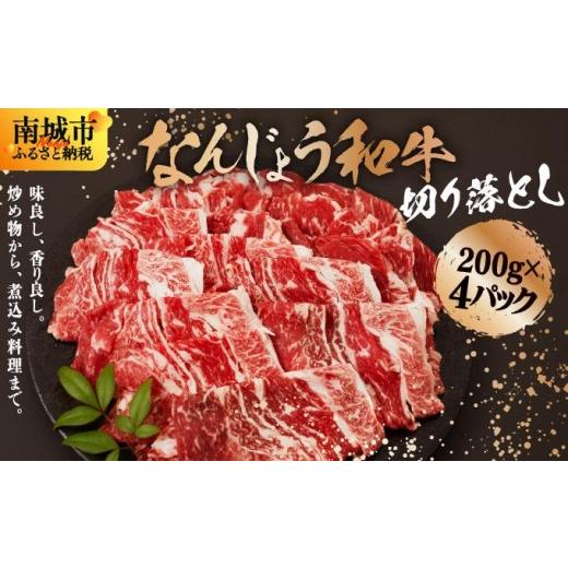 ふるさと納税 牛肉 沖縄県 南城市 [使い勝手抜群 ] 和牛切り落とし 200g×4パック なんじょう和牛 合計400g I 和牛 切り落とし なんじょう和牛 ブランド和牛…
