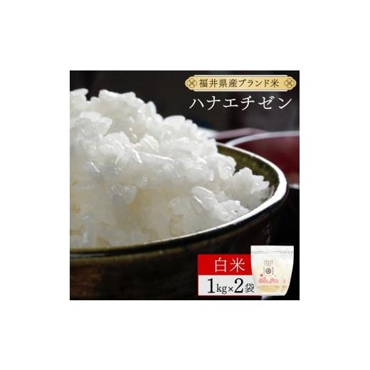 ふるさと納税 米 コシヒカリ 福井県 敦賀市 福井県産 ハナエチゼン 精米 2kg(1kg×2) 令和7年産 数量限定 米 コメ お米 精米 白米 無洗米 玄米 ご飯 飯 華越…