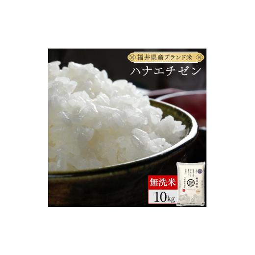 ふるさと納税 米 コシヒカリ 福井県 敦賀市 定期便3回 福井県産 ハナエチゼン 無洗米 10kg(10kg×1) 令和7年産 数量限定 米 コメ お米 精米 白米 無洗米 玄…