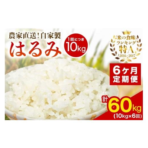ふるさと納税 米 神奈川県 伊勢原市 定期便/6ヶ月連続 新米 令和7年産 伊勢原産 精米10kg(5kg×2袋) はるみ 農家直送 加藤さんちのうんめぇ 自家製米| お米…