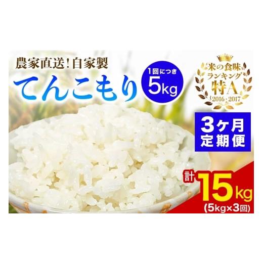 ふるさと納税 米 神奈川県 伊勢原市 定期便/3ヶ月連続 新米 令和7年産 伊勢原産 精米5kg てんこもり 農家直送 加藤さんちのうんめぇ 自家製米| お米 おこめ…
