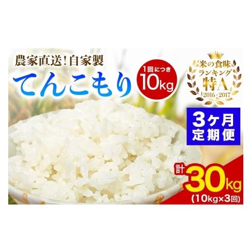 ふるさと納税 米 神奈川県 伊勢原市 定期便/3ヶ月連続 新米 令和7年産 伊勢原産 精米10kg(5kg×2袋) てんこもり 農家直送 加藤さんちのうんめぇ 自家製米| …