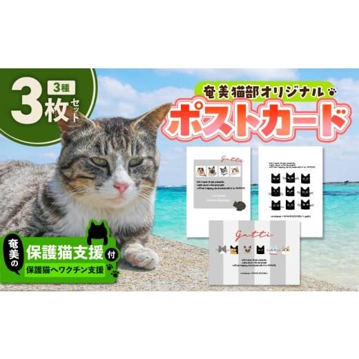 ふるさと納税 雑貨・日用品 はがき 鹿児島県 奄美市 奄美の保護猫支援(ワクチン代) +ポストカード3枚セット