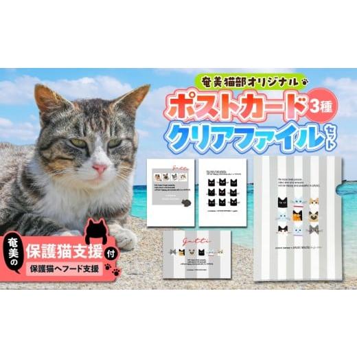 ふるさと納税 雑貨・日用品 はがき 鹿児島県 奄美市 奄美の保護猫支援(保護猫フード10日分) +ポストカード&クリアファイルセット