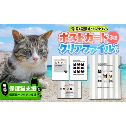 ふるさと納税 雑貨・日用品 はがき 鹿児島県 奄美市 奄美の保護猫支援(ワクチン代) +ポストカード&クリアファイルセット